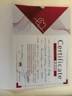 Staf - Ivoor - Antique Carved Ivory Cond, Antiek en Kunst