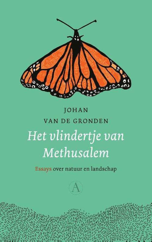 Het vlindertje van Methusalem 9789025314019, Boeken, Overige Boeken, Zo goed als nieuw, Verzenden
