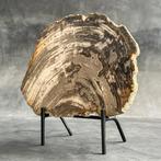 Prachtig stukje versteend hout op een op maat gemaakte, Antiek en Kunst