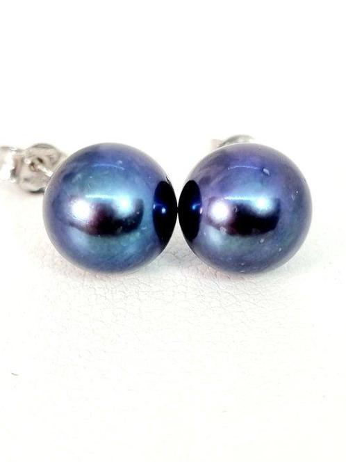 Zonder Minimumprijs - Oorbellen - 18 karaat Witgoud Parel, Sieraden, Tassen en Uiterlijk, Oorbellen