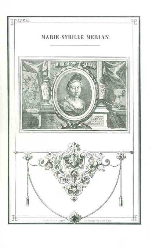 Portrait of Maria Sibylla Merian, Antiek en Kunst, Kunst | Etsen en Gravures
