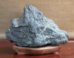 suiseki kuzuya ishi - natuurlijke steen en hout - Japan -