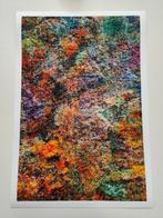 Viet Ha Tran - Wall of Nature LV, Antiek en Kunst