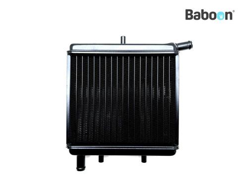 Radiateur Aprilia RS 50 (RS50) (AP8201476), Motoren, Onderdelen | Overige, Gebruikt, Verzenden
