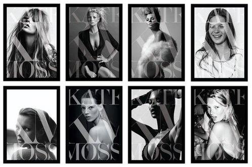 9780847837908 Kate The Kate Moss Book Kate Moss, Boeken, Studieboeken en Cursussen, Nieuw, Verzenden