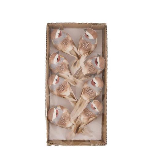 Vogeltjes op clip 8x3.5x3.5cm 8pc - Lichtbruin Light Brown, Hobby en Vrije tijd, Knutselen, Nieuw, Ophalen of Verzenden