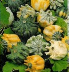 Kronen Mix Kalebas 5000 zaden, Hobby en Vrije tijd, Knutselen, Nieuw, Ophalen of Verzenden