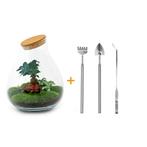 DIY terrarium - Drop XL Bonsai - 37 cm - Rake + Shovel + Tw, Verzenden
