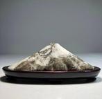 Midden 20e eeuw (WO II) (Zonder minimumprijs)