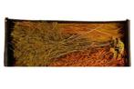 Droogbloempakket dried flowers mix tray orange droogbloem, Ophalen of Verzenden, Nieuw