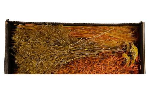 Droogbloempakket dried flowers mix tray orange droogbloem, Hobby en Vrije tijd, Knutselen, Nieuw, Ophalen of Verzenden