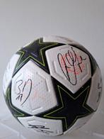 LOSC Lille - UEFA Champions League - 2024 - Voetbal, Nieuw