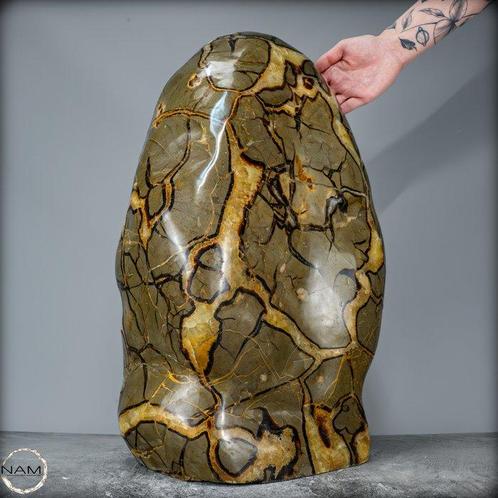 Natuurlijke Septarian vrije vorm uit Madagaskar – 54 kg, Verzamelen, Mineralen en Fossielen