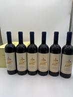 2023 Tenuta San Guido, Guidalberto - Toscane IGT - 6 Flessen, Verzamelen, Nieuw