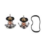 Mishimoto Ford 6.4L Powerstroke Low-Temperature Thermostat, Ophalen of Verzenden, Nieuw