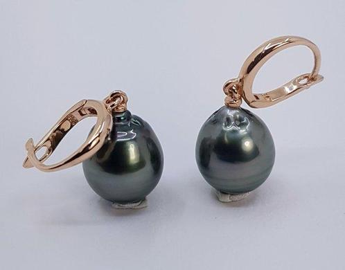 Oorbellen - 14 karaat Roségoud - 10x11mm Tahitiaanse Parel, Sieraden, Tassen en Uiterlijk, Oorbellen