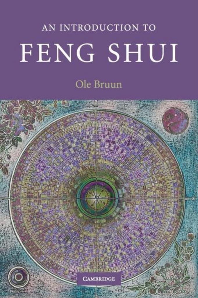 Introduction To Feng Shui 9780521682176 Ole Bruun, Boeken, Taal | Engels, Gelezen, Verzenden