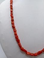 Bloedkoraal Koraal - Corallium rubrum (Zonder Minimumprijs), Nieuw