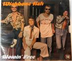 cd - Wishbone Ash - Blowin Free, Verzenden, Nieuw in verpakking