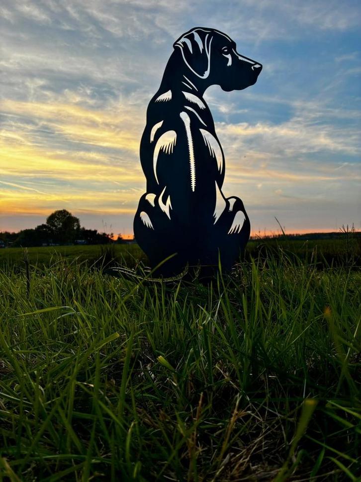 Rhodesian Ridgeback- Levensecht, Tuin en Terras, Tuinwanddecoratie, Verzenden