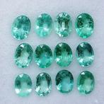 12 pcs Groen Smaragd - 1.86 ct - Instituto Gemólogico, Sieraden, Tassen en Uiterlijk, Edelstenen, Nieuw