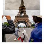 Roberto Cavalli - Visioni, In Paris / #859