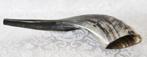 Shofar (Kosher) voornamelijk donker gekleurd en gepolijst., Verzenden, Nieuw