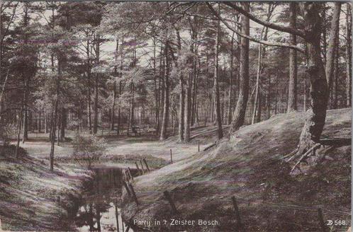 ZEIST - Partij in t Zeister Bosch, Verzamelen, Ansichtkaarten | Nederland, Verzenden