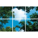 Wolk-bos plafond | Fotoprint | verdeeld over 6 panelen, Ophalen of Verzenden, Nieuw in verpakking, Verlichting