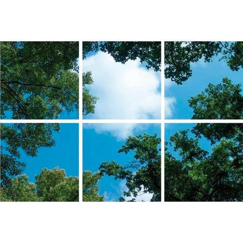 Wolk-bos plafond | Fotoprint | verdeeld over 6 panelen, Zakelijke goederen, Kantoor en Winkelinrichting | Kantoormeubilair en Inrichting