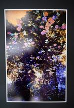 Viet Ha Tran - The breath of autumn III, Antiek en Kunst