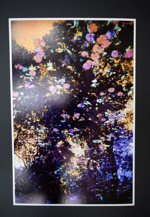 Viet Ha Tran - The breath of autumn III, Antiek en Kunst, Kunst | Schilderijen | Modern