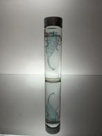 Heterometrus Pantser - Heterometrus swammerdami - 10 cm - 3, Nieuw