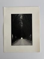 Mikael Andersson - “Allé, Södermanland” – Vintage Photograph, Antiek en Kunst