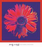 Kunstdruk Andy Warhol - Daisy 1982 90x90cm, Huis en Inrichting, Woonaccessoires | Schilderijen, Tekeningen en Foto's, Verzenden