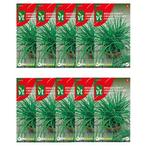 Bieslookzaad | VT | 10 stuks (Chinese), Tuin en Terras, Bloembollen en Zaden, Verzenden