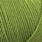 Stylecraft special DK Leaf - Haakgaren / Breigaren, Ophalen of Verzenden, Nieuw, Breien of Haken, Wol of Garen