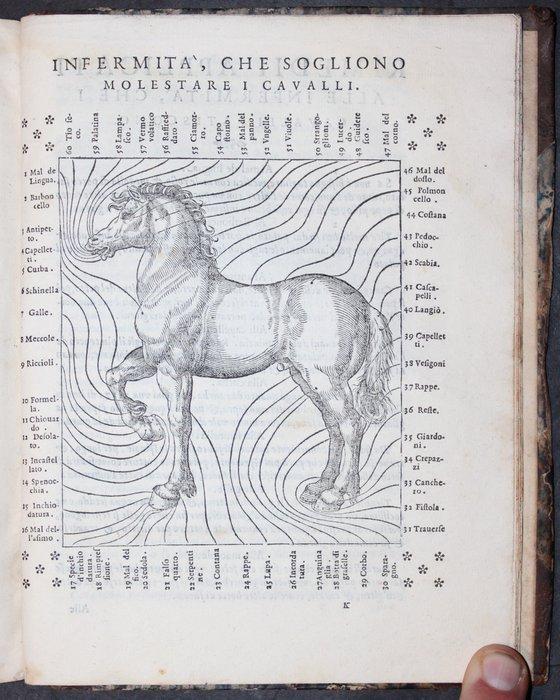 F. Grisone - Ordini di cavalcare, et modi di conoscere le, Antiek en Kunst, Antiek | Boeken en Bijbels