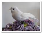 Witte vogeltjes +/- 11 cm. / doosje 12 stuks vogeltje, Ophalen of Verzenden, Nieuw