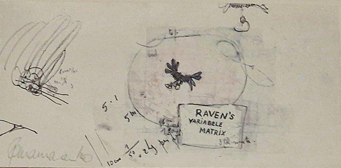 Panamarenko (1940-2019) - Ravens variable matrix, Antiek en Kunst, Kunst | Designobjecten