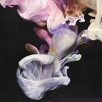 LP nieuw - Simian Mobile Disco - Murmurations 2-LP, Verzenden, Nieuw in verpakking