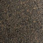 Zonnebloempitten micro zwart - 2 kilo - Overige zaden, Verzenden, Nieuw