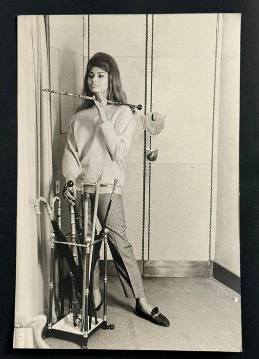 Paolo Costa - Sophia Loren, Antiek en Kunst, Kunst | Designobjecten