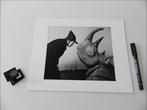 Philippe Halsman - Salvador Dalí with Rhinoceros, Manhattan,