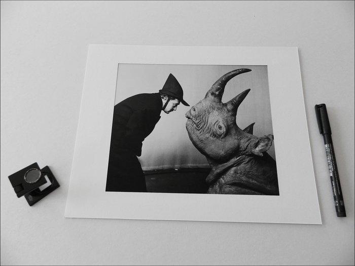 Philippe Halsman - Salvador Dalí with Rhinoceros, Manhattan,, Antiek en Kunst, Kunst | Designobjecten