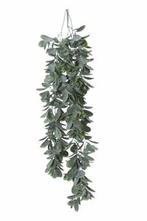 Schefflera hangplant header Super mooi, Huis en Inrichting, Woonaccessoires | Kunstplanten en Kunstbloemen, Nieuw, Ophalen of Verzenden