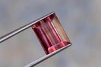 1 pcs Roze Toermalijn - 4.16 ct - International Gemological, Nieuw