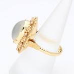Ring - 14 karaat Geel goud - Plaquette, Nieuw