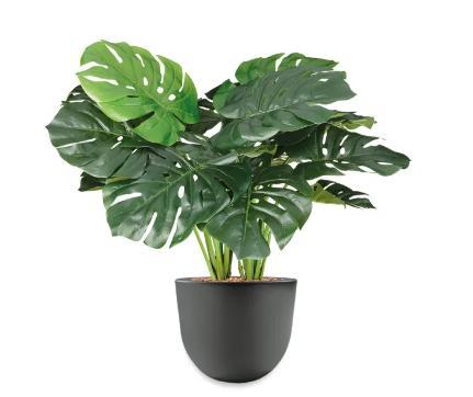 Monstera kunstplant, H70cm, Huis en Inrichting, Kamerplanten, Ophalen of Verzenden