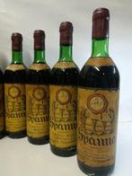 1964 Spanna Cantina Curti Gattinara - Piëmont - 8 Flessen, Verzamelen, Wijnen, Nieuw